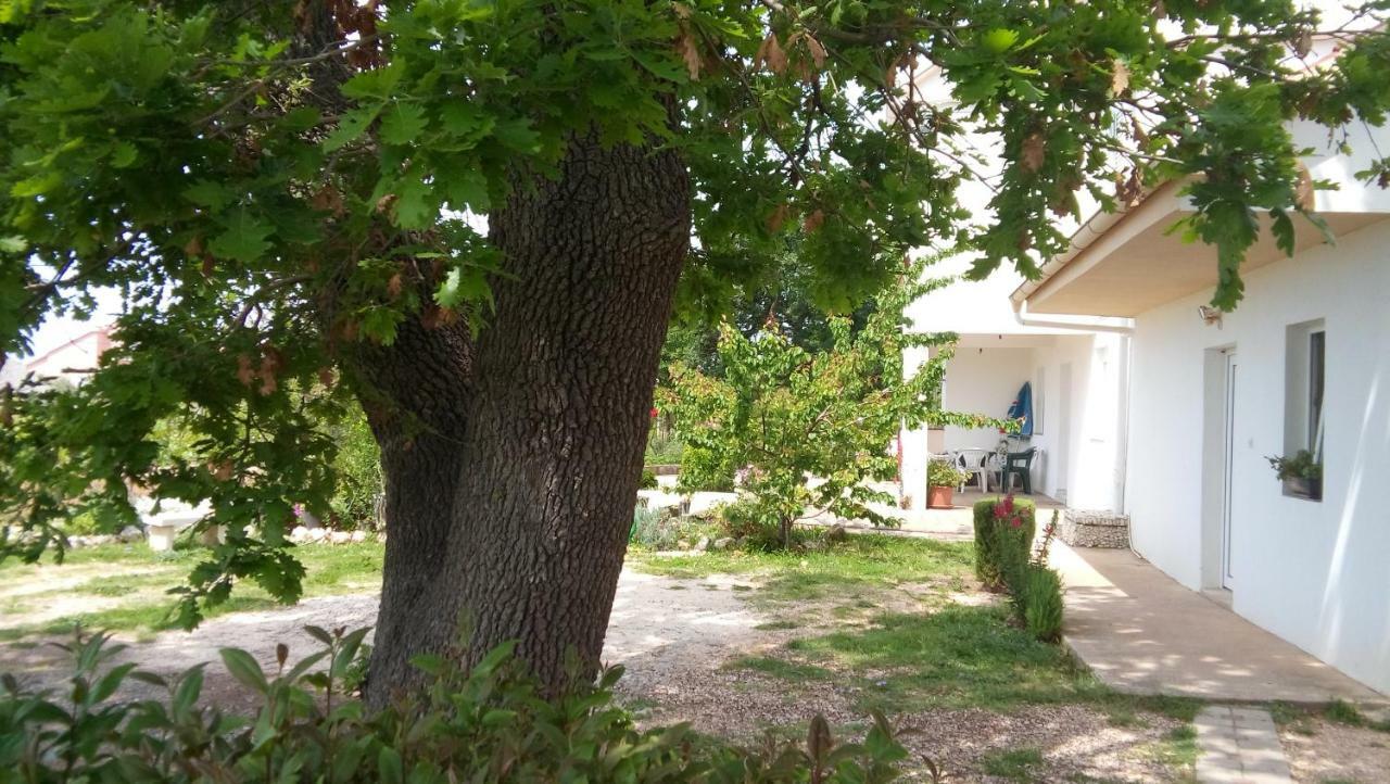 Apartman La Maison زادار المظهر الخارجي الصورة