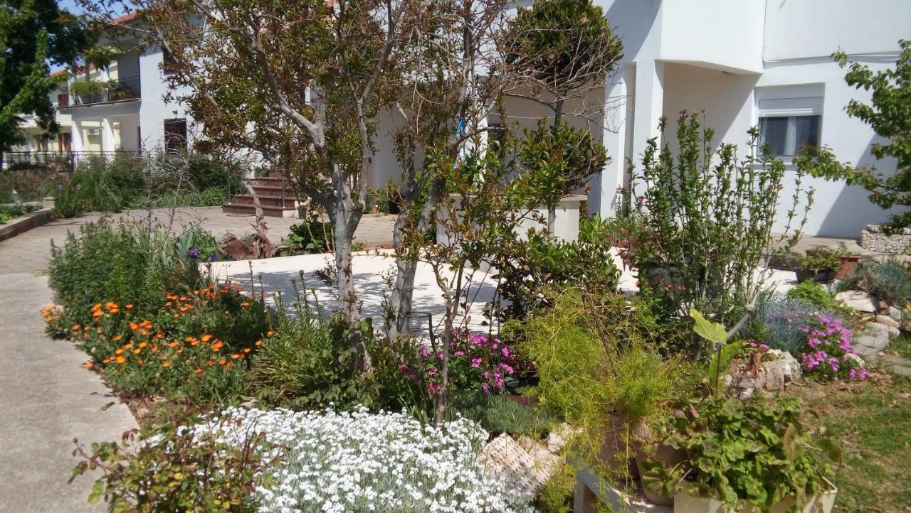 Apartman La Maison زادار المظهر الخارجي الصورة